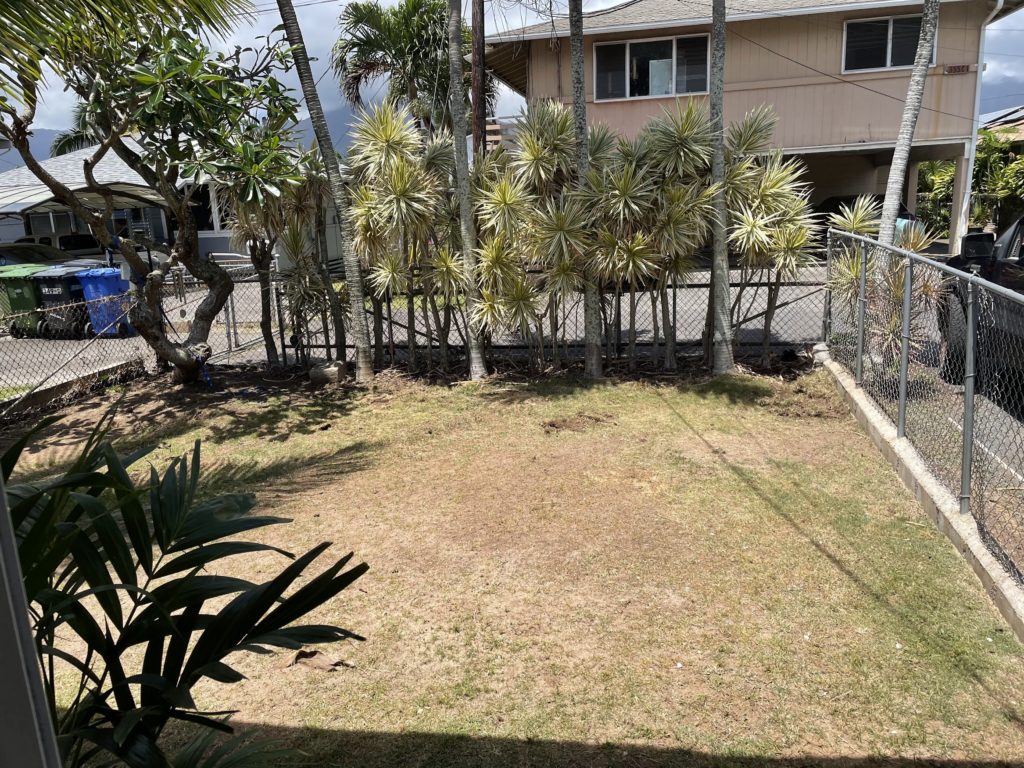 349c Keaniani St, Kaulia Hawaii 96734